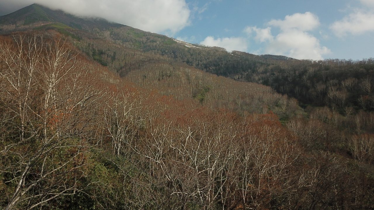 Annupuri Peak Niseko Realty