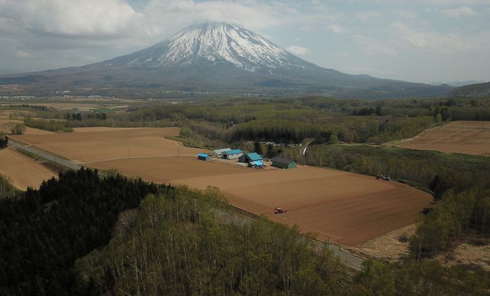 Niseko Realty Hanazono Development Land 4