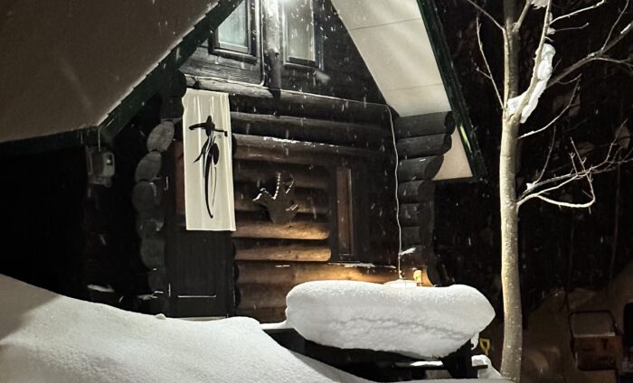Niseko Realty Niseko Log House 9