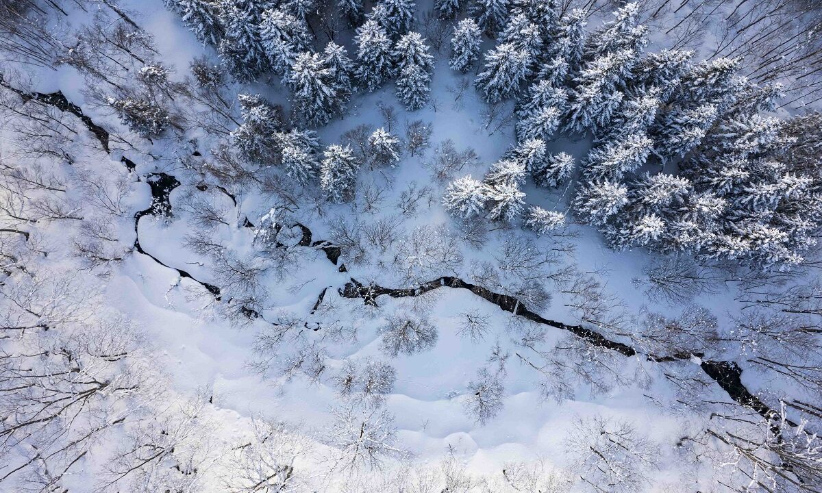 Niseko Realty Hanacreek Creek Winter (1)