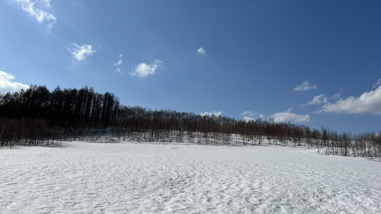 HanaYotei Spring Snow